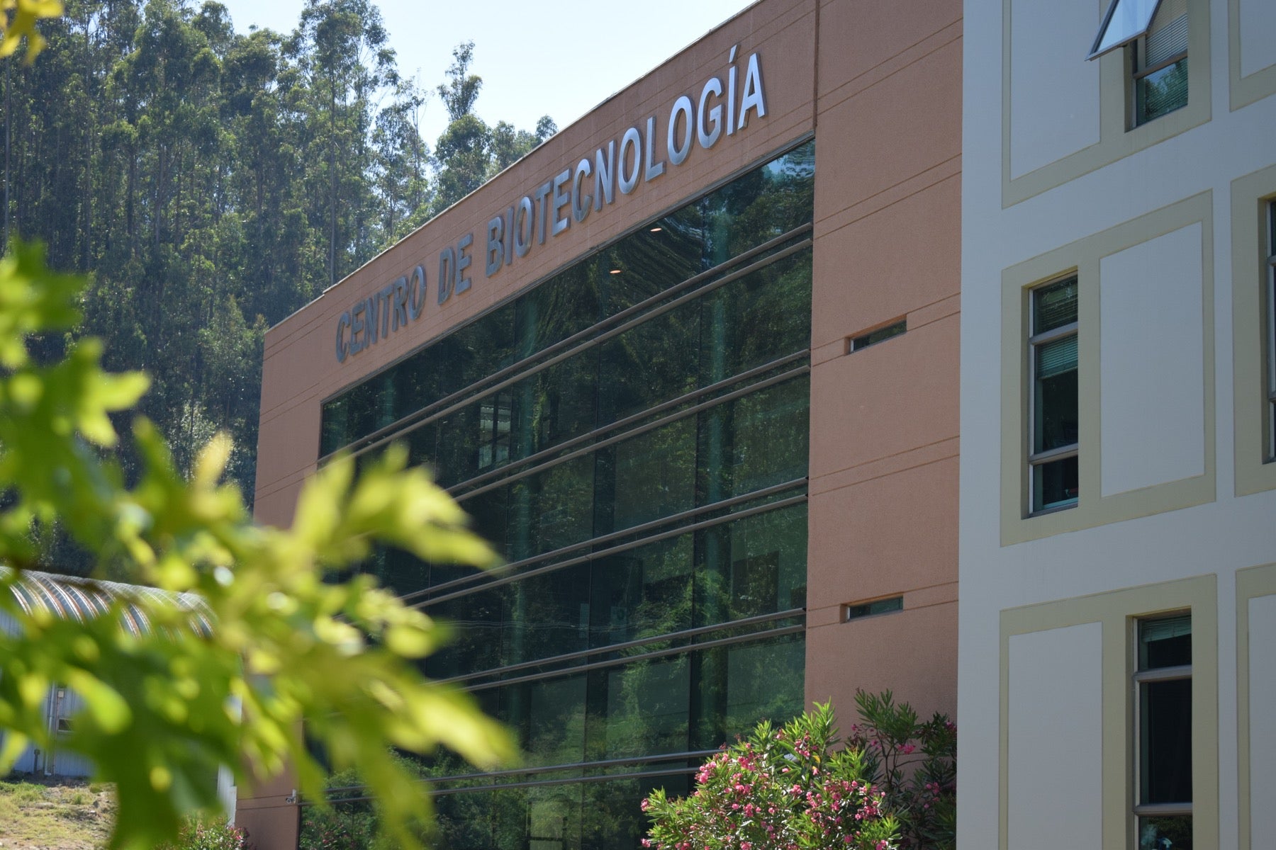Centro de Biotecnología: diez años contribuyendo al desarrollo de la Región