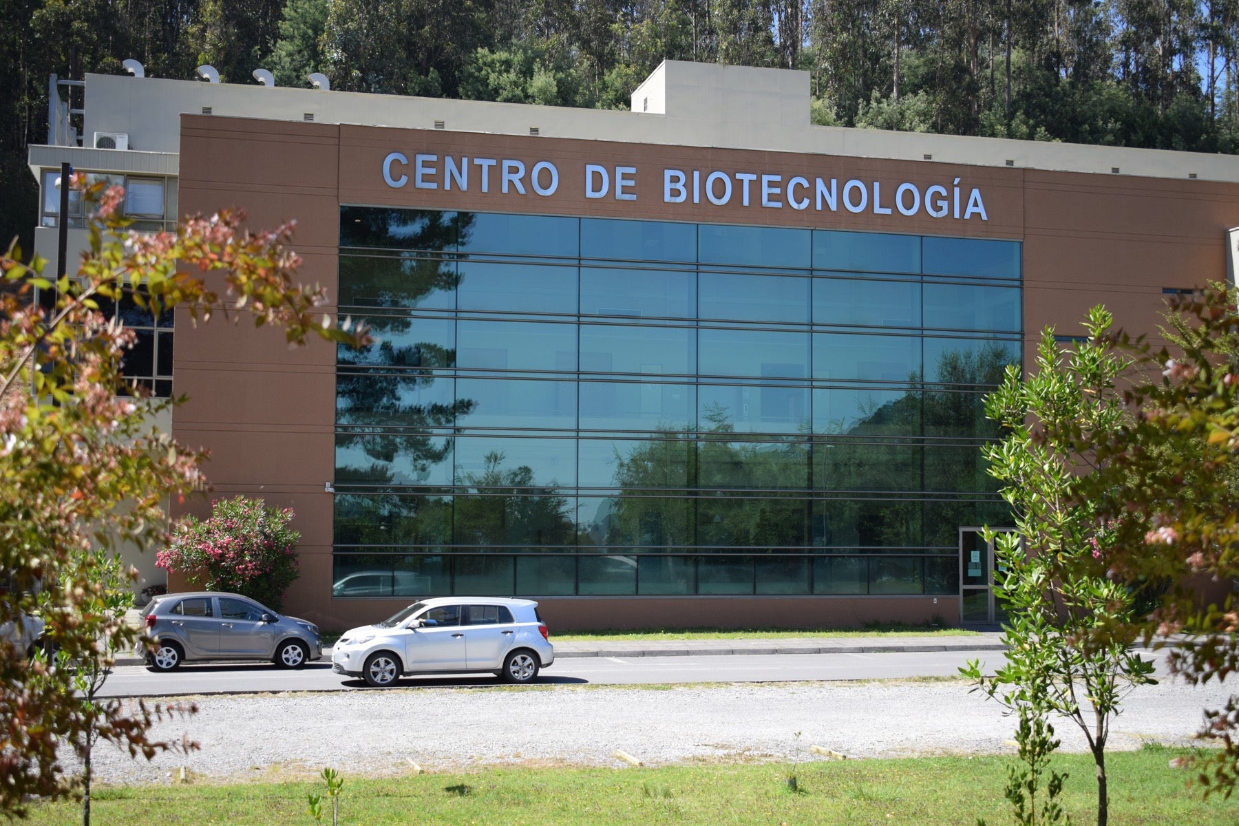 Rectoría de la Universidad de Concepción presentó a la nueva dirección del Centro de Biotecnología