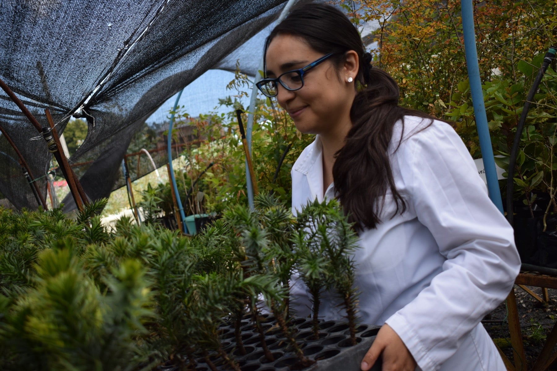 Estudiantes de Bioquímica de la Universidad de Concepción conocieron el Centro de Biotecnología