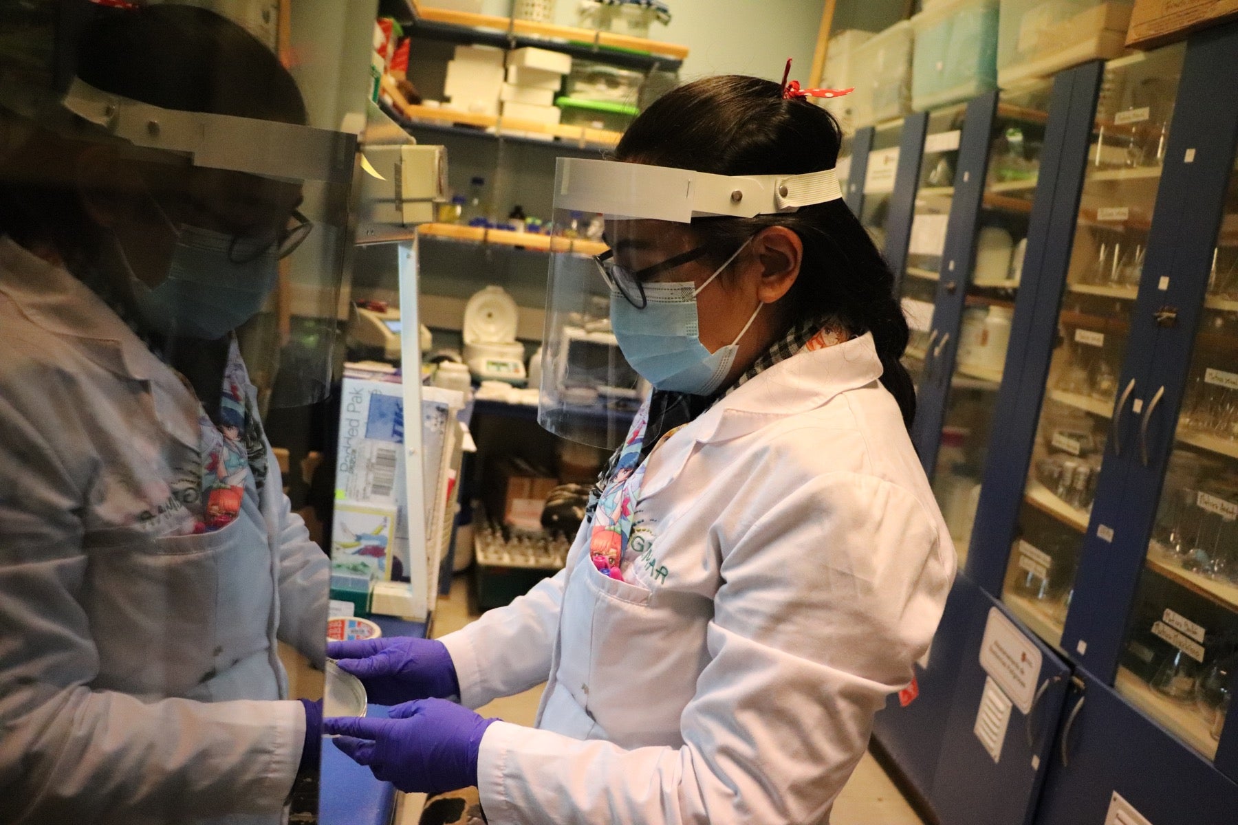 Laboratorio Gibmar del Centro de Biotecnología es víctima de incendio a camioneta institucional