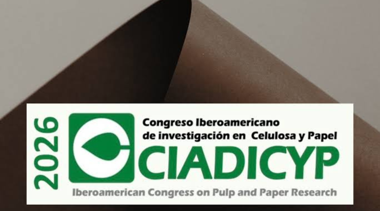 Investigadores CB-UdeC participan en congreso internacional sobre celulosa, papel y biomateriales