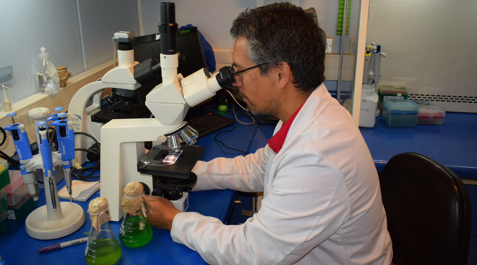 Postdoctorados Fondecyt CB-UdeC: Dr. Alejandro Vallejos Almirall