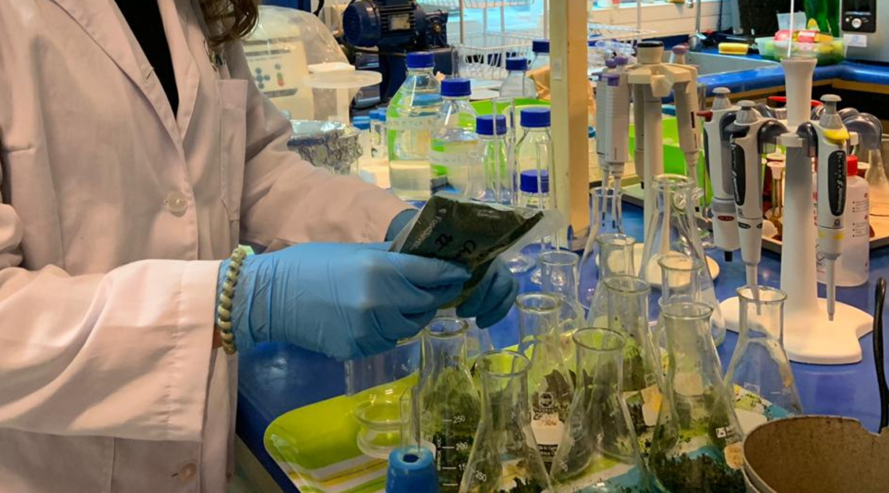 Dermovirox: El proyecto que fue seleccionado en el Concurso StartUp Ciencia 2025