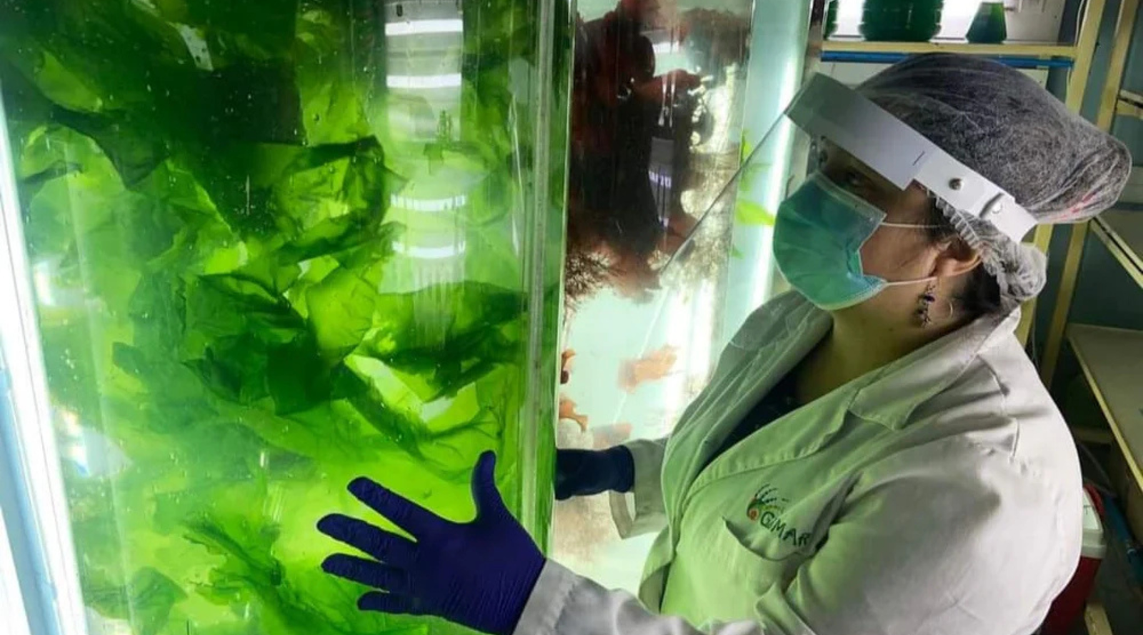 Investigadores del Laboratorio GIBMAR y la Facultad de Farmacia UdeC adjudican financiamiento para proyecto de Tecnologías Avanzadas