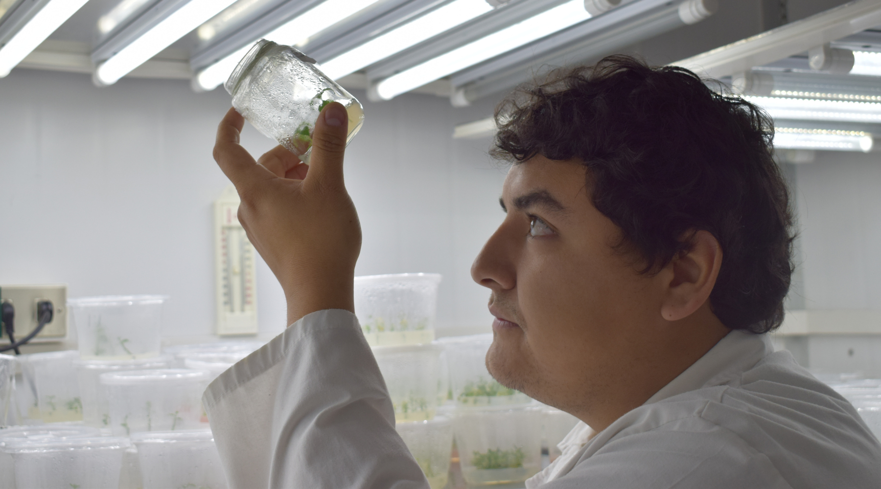 La Importante labor de los estudiantes de pregrado en el Centro de Biotecnología
