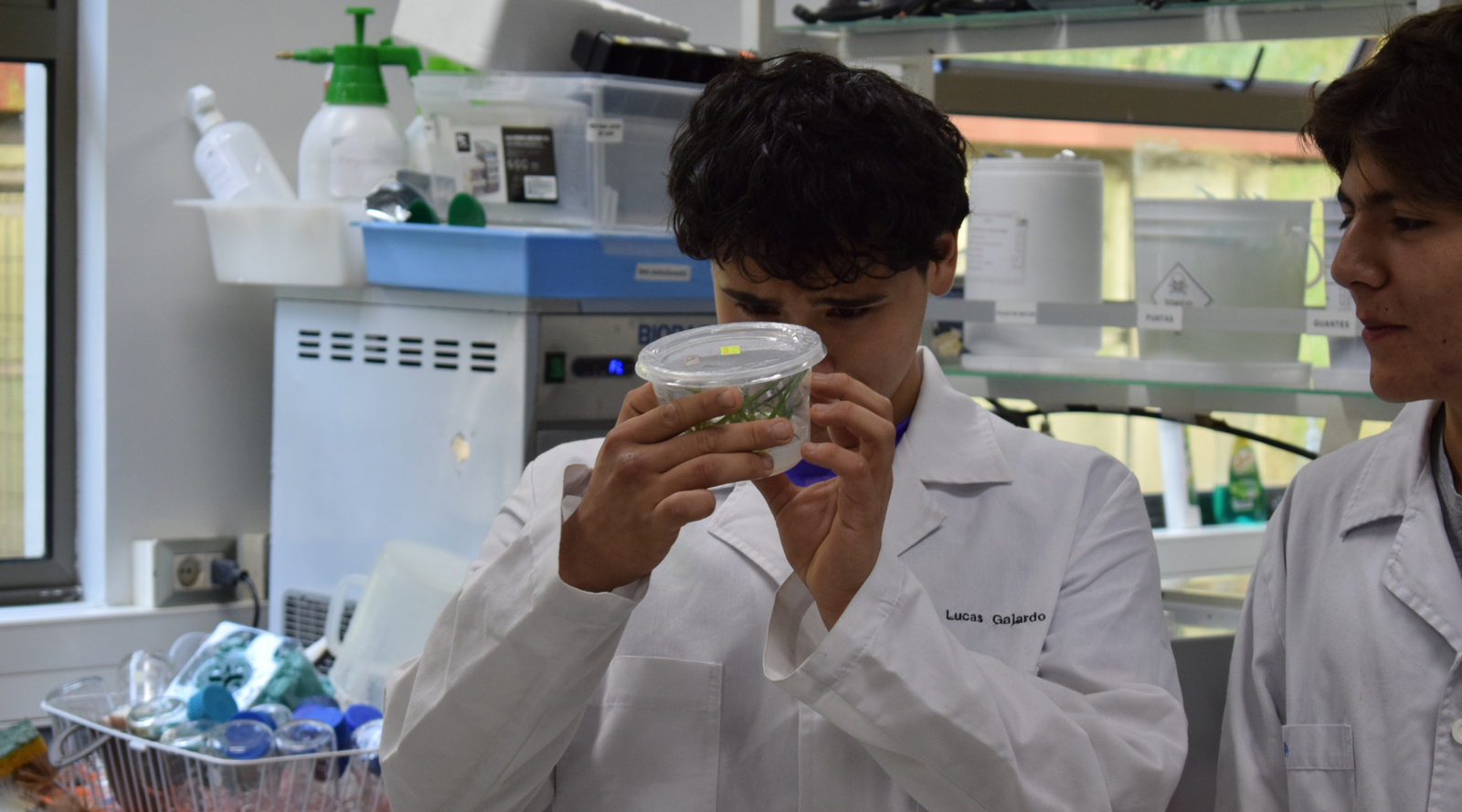 Estudiantes del Colegio Gran Bretaña visitaron el Centro de Biotecnología UdeC para conocer el trabajo científico en laboratorio