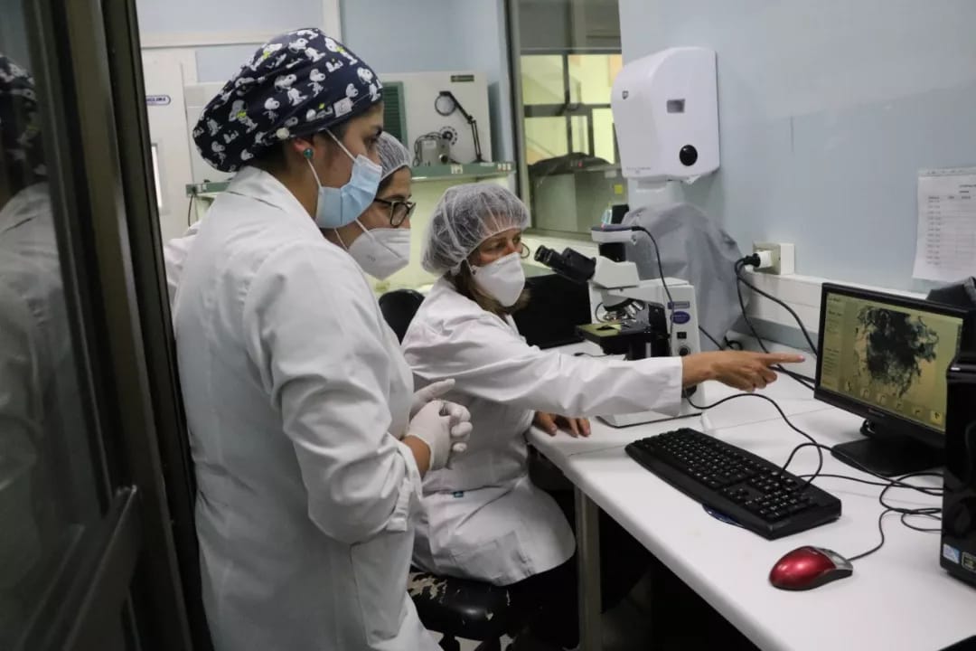 Con éxito el CB-UdeC cerró las actividades de la Escuela de Verano 2022 de la Universidad de Concepción