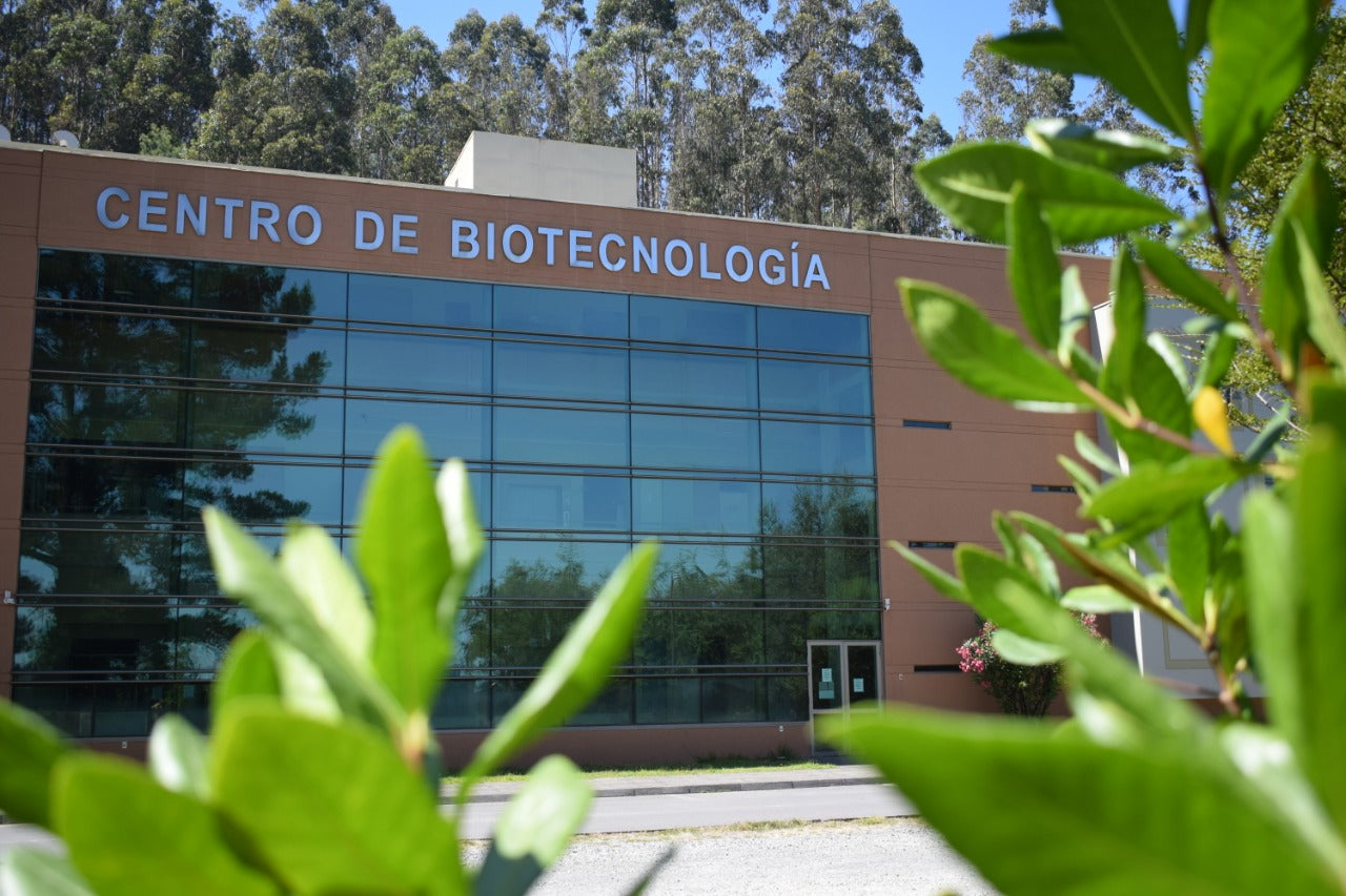 Investigadoras e investigadores del CB-UdeC protagonizan cursos de la Escuela de Verano 2022