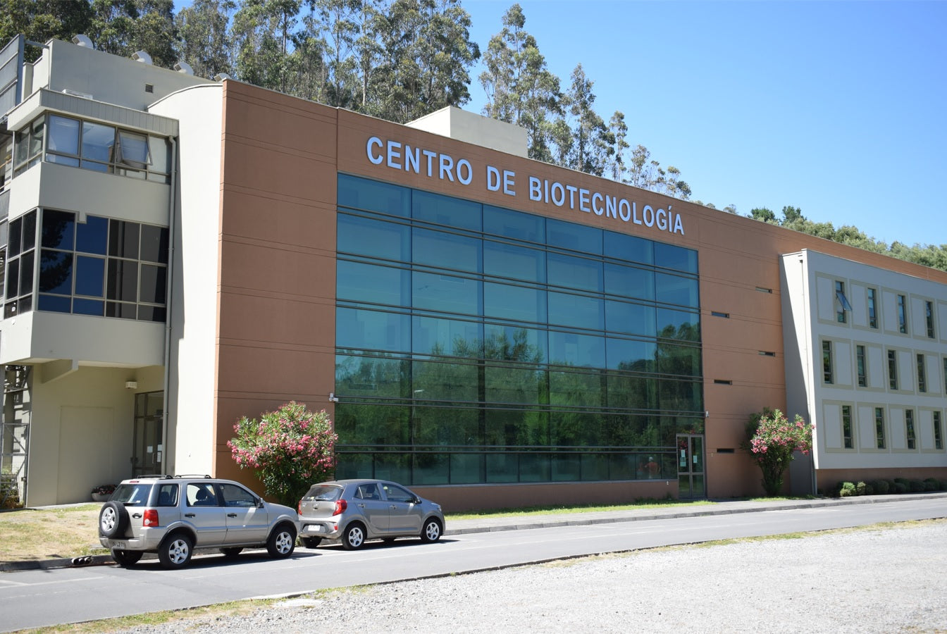 Científicos de la UdeC crean tecnología para aprovechar la paja del trigo en la producción de cobre